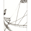 argonauten_argo