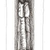 mnemosyne_01