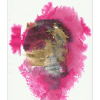 beuys_joseph_2