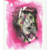 picasso