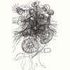 QUALLE-1