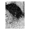 web_mj-konzept_17_1000px_pj-iii