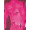 gigant_rosa_4