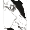 pferde_08