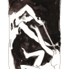 prokne_01