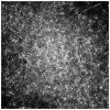 mj-konzept_17_HAARE