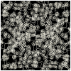 mj-konzept_17_HAARGUMMI_invert