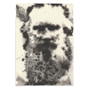 TOLSTOI_01